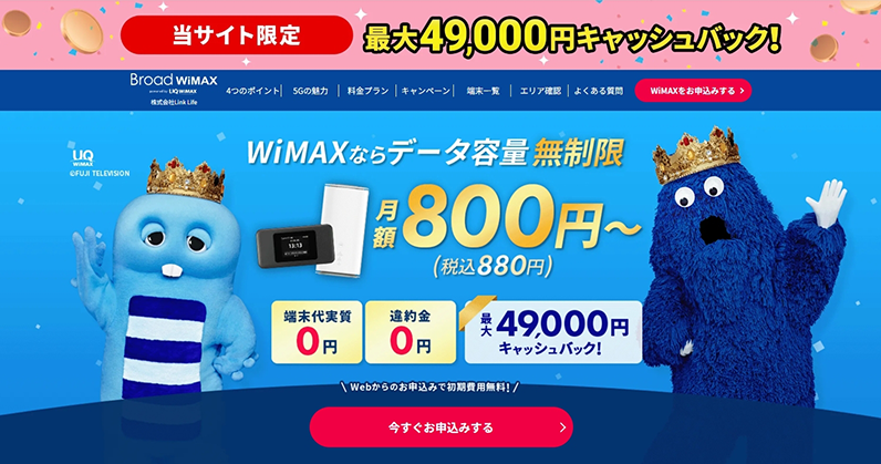 BroadWiMax